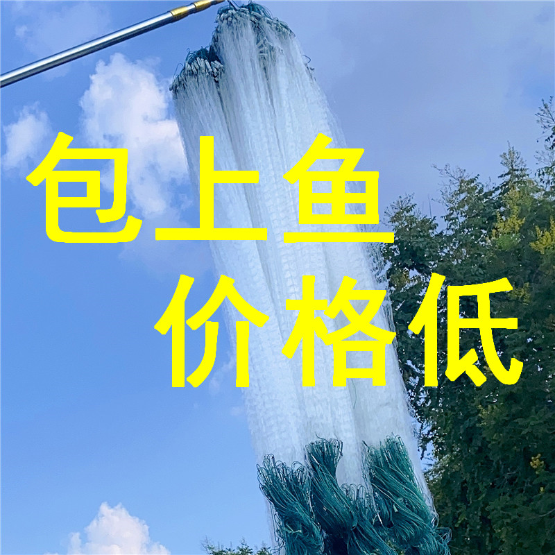 白条网沾网不缠网渔网粘网丝网三层沉网单层浮网挂子鱼网鲫鱼鲢鱼