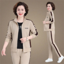 中老年女士秋季 外套2026新款 两件套 女洋气春装 中年妈妈运动服套装