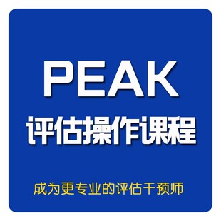 孤独症儿童PEAK评估操作课程适用于高功能阿斯伯格孩子自闭症康复