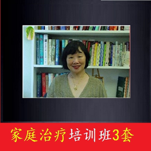 10套李维榕家庭治疗与案例督导课程心理咨询家庭培训视频