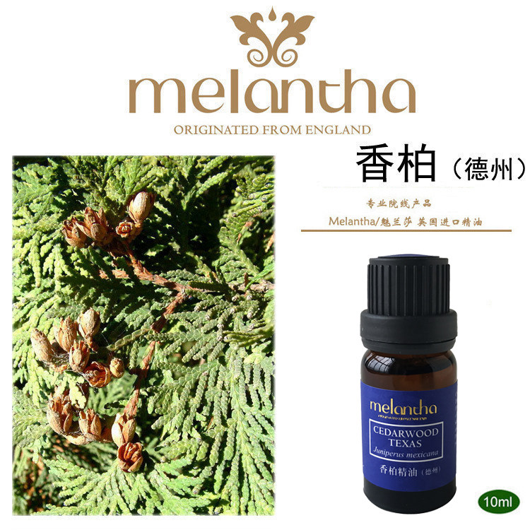 魅兰莎 Melantha 香柏精油 单方精油 正品包邮