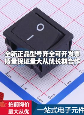 SS24-BBIWQ-R40-R船型开关插件,24x21mm 跷板开关DPST 21x24mm