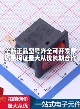 RS601B-101N001R1B船型开关插件,21x15mm RS601B-101N001R1B