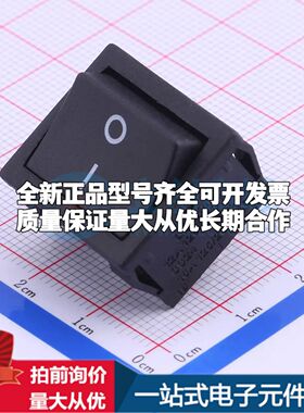 SS24-BBIWS-R40-R船型开关插件,24x21mm 跷板开关DPST 21x24mm