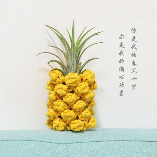 空气凤梨diy支架底座植物空凤