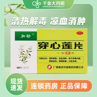 加劲穿心莲片36片 清热解毒 感冒发热 咽喉肿痛口舌生疮