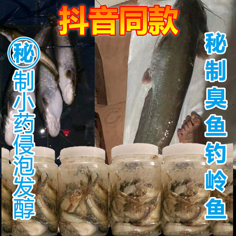臭鱼钓鲶鱼专用饵料鲶鱼钓鲶鱼的臭鱼臭饵吊鱼用的耳料小药鲶鱼饵,户外/登山/野营/旅行用品,台钓饵,淘宝优惠券,粉丝福利购,淘宝优惠卷
