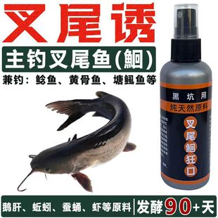 叉尾鮰鱼专用黑坑饵料窝料小药添加剂胡子鲶鱼黄骨鱼昂刺黄辣鳞鱼