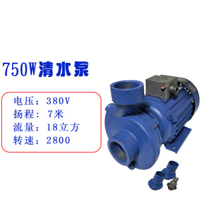 新清水泵380V三相抽水泵 电动家用微型离心泵家用灌溉泵搅拌机促