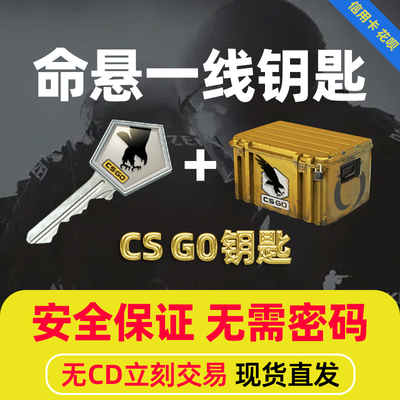 现货钥匙箱子命悬大行动steam