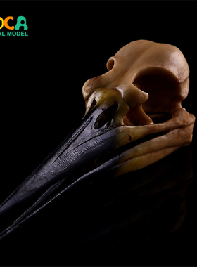 仿古黄恐龙鸟头骨树脂骷髅头树脂工艺品居家摆件动物头骨 KLGT005