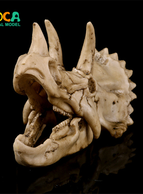 树脂骷髅头三角龙模型办公室摆件恐龙头骨模型 KLGT008