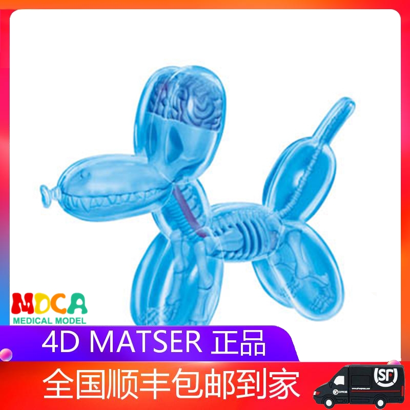 4D Master迷你气球狗骨骼内脏器官模型透明蓝金属桃红拼装玩具