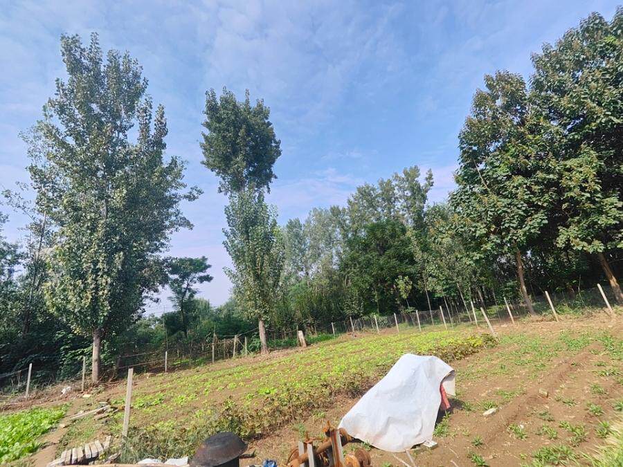 1月19日焦作土地使用权及部分地上附属物网络拍卖公告