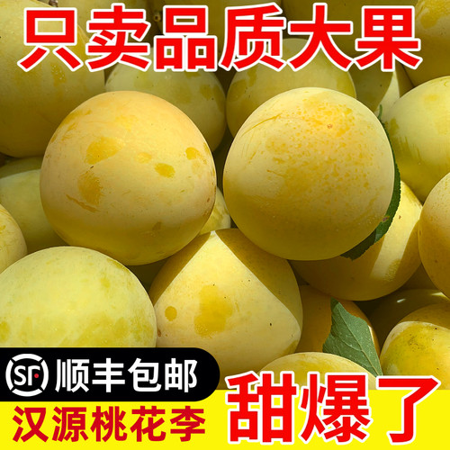 冰糖李子纯甜汉源桃花李顺丰包邮