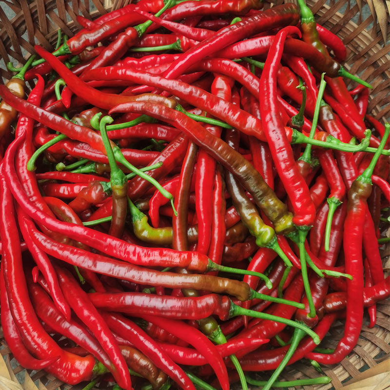 农家蔬菜新鲜红辣椒尖椒红线椒中辣杭椒现摘可做剁椒酱泡椒海椒