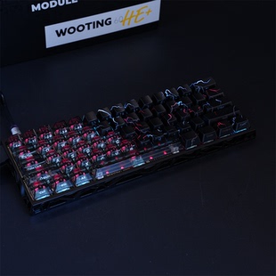 WOOTING 60HEV2满改-黑镂空-黑透闪电