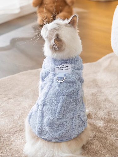 可爱猫咪衣服马卡龙系列马甲绒衣