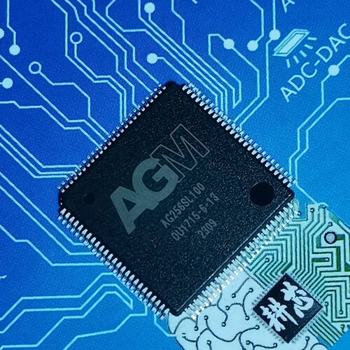 AG256SL100PtPEPM240T100