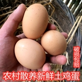 重庆农家新鲜土鸡蛋散养粮食蛋五谷杂粮鸡蛋30个装