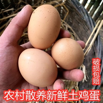 重庆农家新鲜土鸡蛋散养粮食蛋