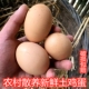 重庆农家新鲜土鸡蛋散养粮食蛋五谷杂粮鸡蛋30个装
