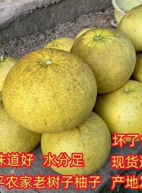重庆梁平柚新鲜白心柚麻柚子农家老树子平顶柚梁山柚新鲜水果