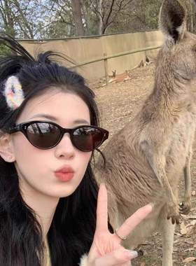 日系墨镜女小框遮阳拍照太阳眼镜