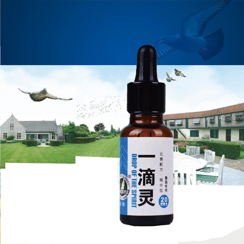 Hao Xiang dove complete works of A drop of spirits dove Simple eye Catch cold Chlamydia Conjunctivitis Eye Tears Common diseasesin the Pet/Pet food and supplies , Birds and supplies , Bird  category - from Buy2taobao.com to provide professional Taobao agent buy service