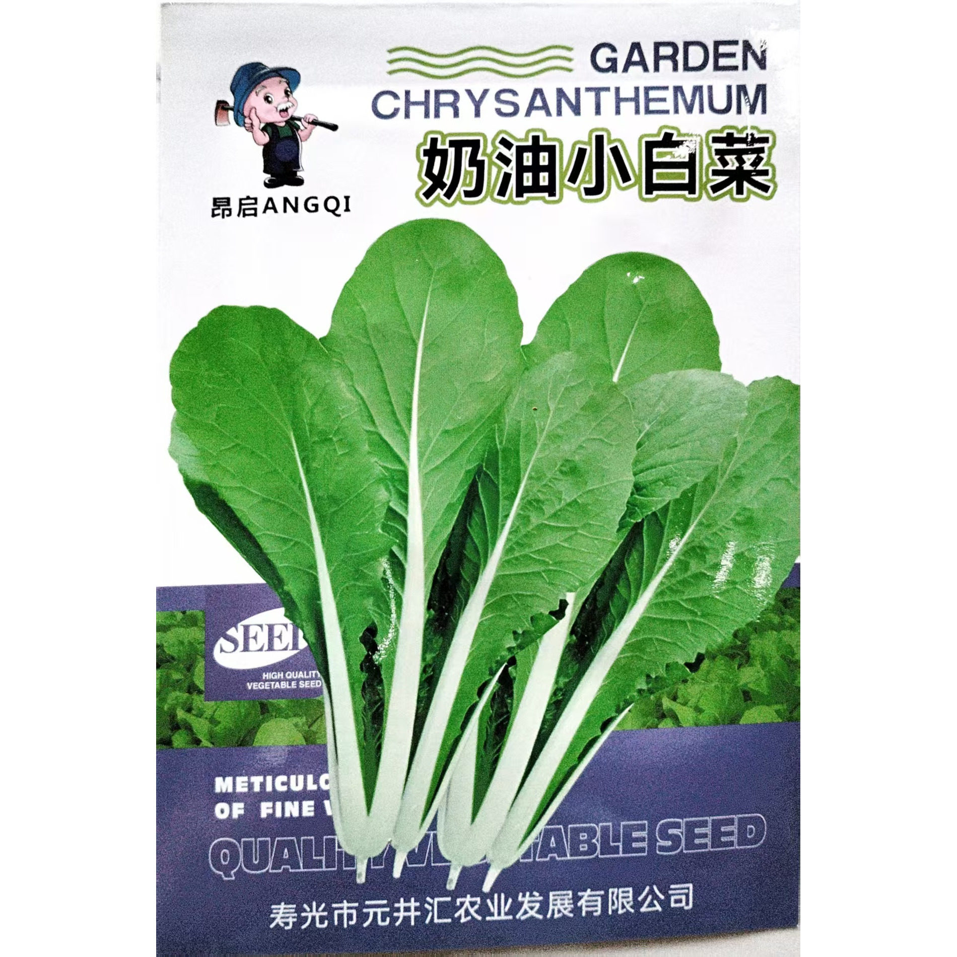 蔬菜种子苏州青阳台盆栽黑大头
