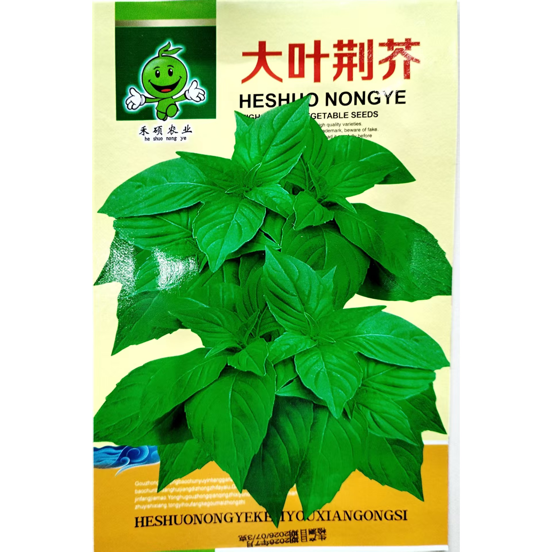 荆芥种子四季易种耐寒耐热