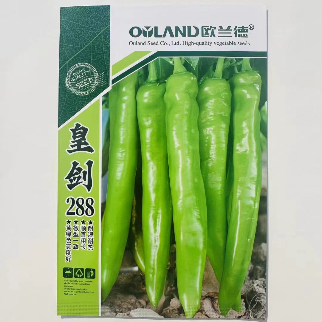 黄绿皮大果型尖椒中早熟抗病