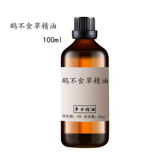 鹅不食草精油50ml改善鼻干鼻子不通鼻子不适单方精油