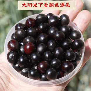 天然无患子菩提子散珠佛珠diy配件原籽核园艺种子发芽率高批发