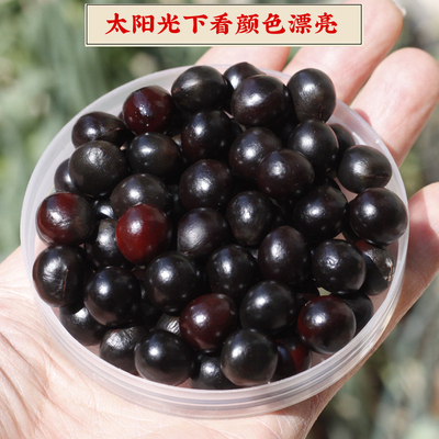 天然无患子菩提子佛珠原籽肥皂果