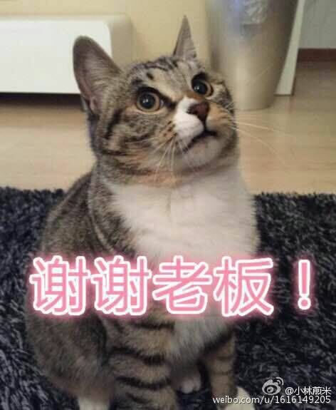魔兽世界代练PLUS探索赛季怀旧亚服1-40等级团本荣誉声望金币符文图片