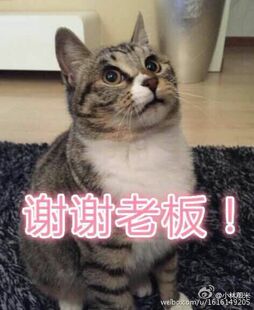 魔兽世界代练PLUS探索赛季怀旧亚服1-40等级团本荣誉声望金币符文