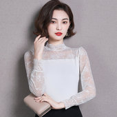 内搭春秋装 新款 小衫 莫代尔网纱长袖 潮 蕾丝打底衫 上衣洋气时尚 女装