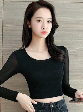 夏季半截网纱打底衫黑色性感蕾丝半身罩衫长袖内搭短袖t恤纱衣女