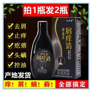选养清老姜王屑痒清去屑脂溢性头皮控油清爽头皮藓痒洗发水膏液