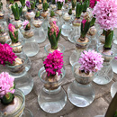 5个14.8元 水养植物花盆客厅摆件插花瓶 风信子水培花瓶透明玻璃瓶