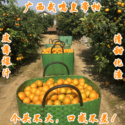 正宗新鲜广西武鸣皇帝柑贡橘特大大果皮薄纯甜无酸爆汁5斤9斤净箱