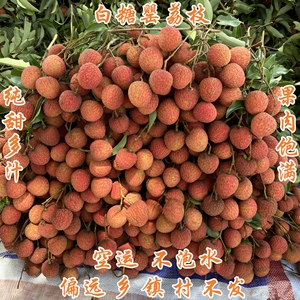空运新鲜正宗广东高州白糖罂荔枝纯甜多汁带枝净4.5斤保温箱礼盒