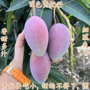 新鲜正宗广西百色小贵妃芒红金龙芒果5斤9斤净重带箱10斤礼盒包邮