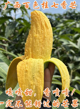 正宗广西百色桂七香芒大果田东田阳青皮甜心芒果净5斤精品礼盒8斤