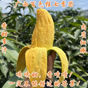 正宗广西百色桂七香芒大果田东田阳青皮甜心芒果净5斤精品礼盒8斤