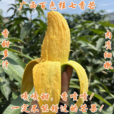 正宗广西百色桂七香芒大果田东田阳青皮甜心芒果净5斤精品礼盒8斤
