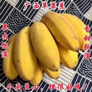 顺丰广西苹果蕉土蕉粉蕉糯米蕉皮薄饱满香甜细腻非西贡小米蕉5斤