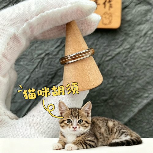 猫咪胡须纪念品定制宠物毛发纪念品留念保存宠物离世纪念狗狗猫咪