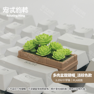 不透光多肉盆栽花盆2.25U个性 旋转 键帽机械键盘DIY客制化 宏式